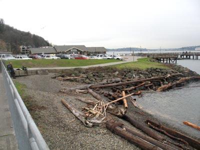 Alki Cove 2 - Cove 2 Shore