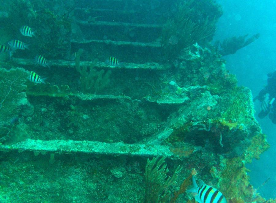 Key Largo - Brentwood Wreck