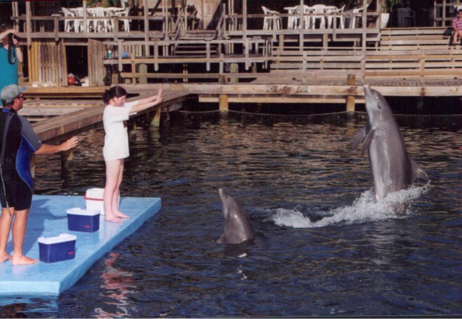 Anthony’s Keys Resort - My daughter using hand signals to train dolphins