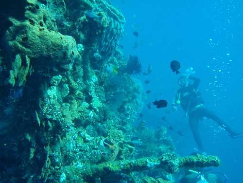 USAT Liberty - USAT Liberty Wreck @ Tulamben, Bali - Taken with Olympus 795SW