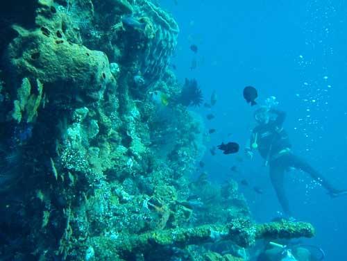 USAT Liberty - USAT Liberty Wreck @ Tulamben, Bali - Taken with Olympus 795SW