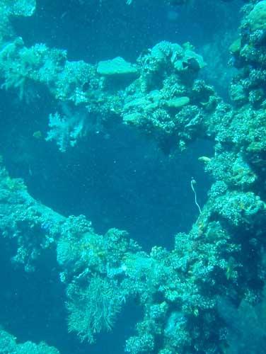 USAT Liberty - USAT Liberty Wreck @ Tulamben, Bali - Taken with Olympus 795SW