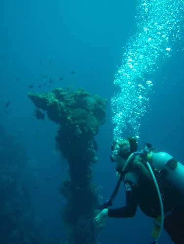 USAT Liberty - USAT Liberty Wreck @ Tulamben, Bali - Taken with Olympus 795SW