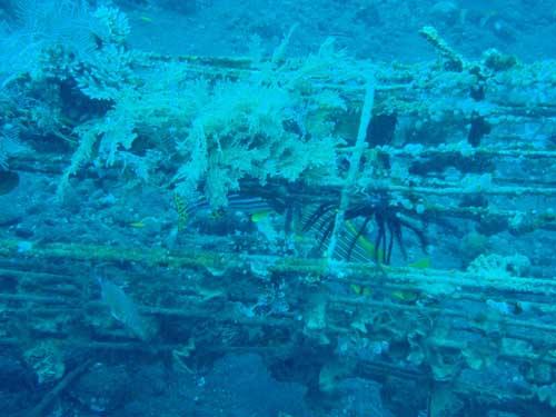 USAT Liberty - USAT Liberty Wreck @ Tulamben, Bali - Taken with Olympus 795SW