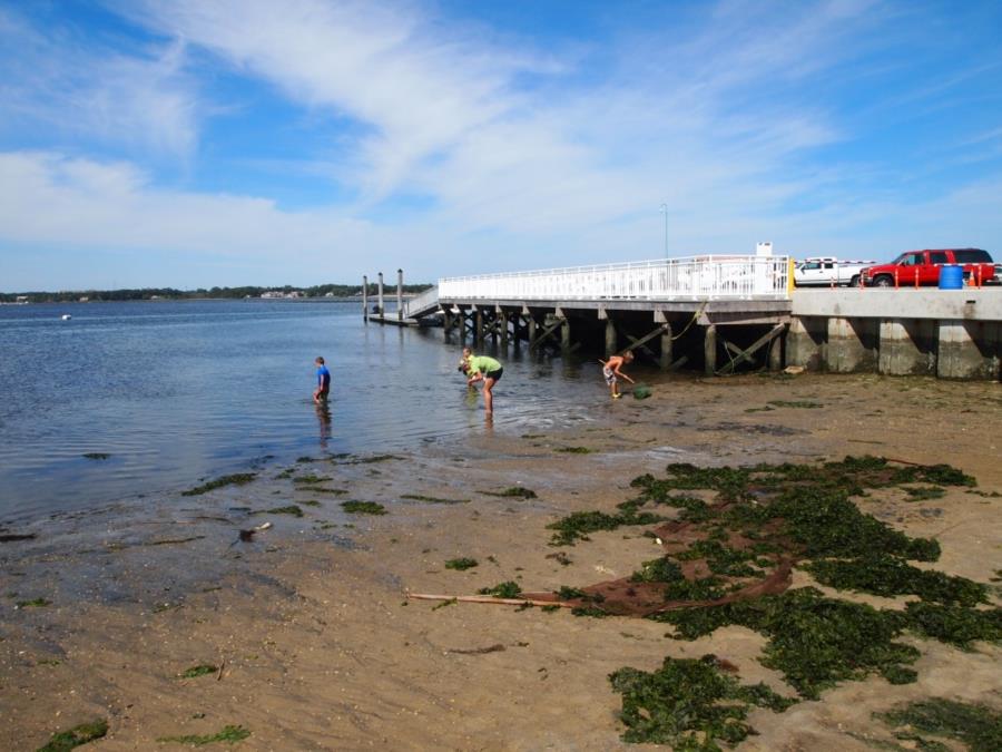 L Street Beach, Shark River - L Street @ low tide looking north