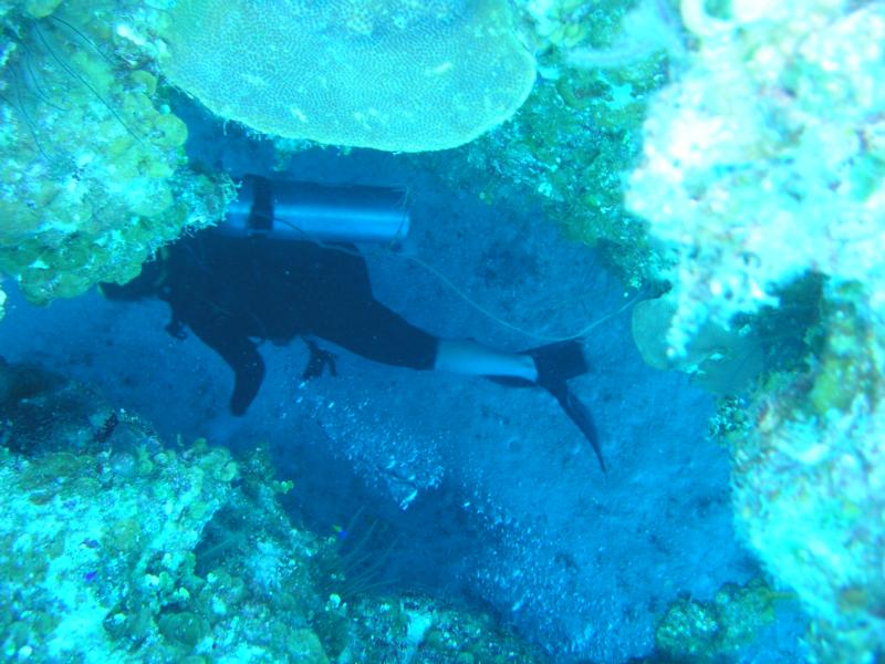 Mayaguana - Diver in a swim thru