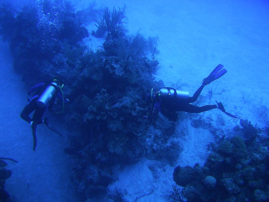 Mayaguana - Me looking for critters