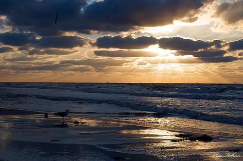 Aransas Pass Jetties - Aransas Pass