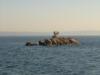 Blakely Rock between Bainbridge and Alki