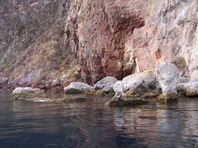 Sea Fan Grotto - Sea Fan Grotto