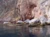 Sea Fan Grotto - Catalina Island CA