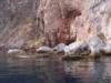 Sea Fan Grotto