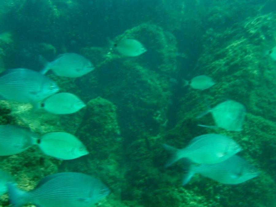 St Andrews State Park Jetties - Gulf side - Photo uploaded by  (image.jpg)