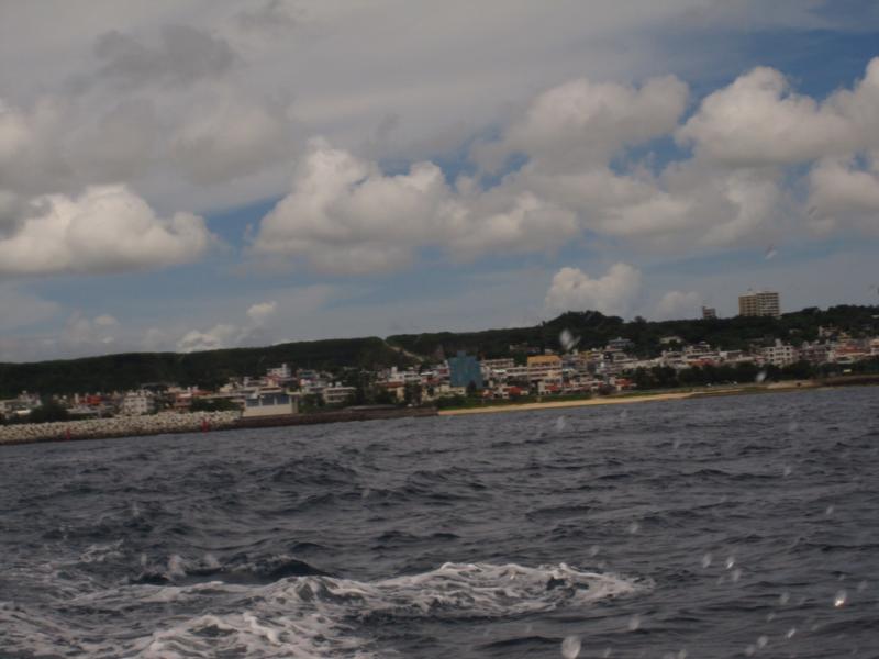 Yomitan WhaleShark - Off the coast of the Yomitan Fishing Port