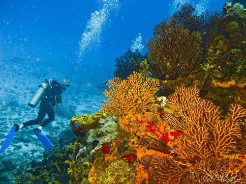 Tormentos Reef - 	Tormentos