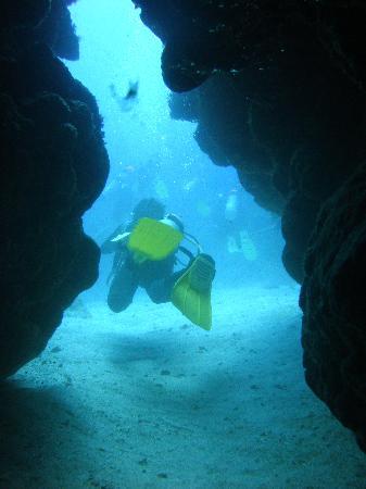 Cypress Tunnel - Cypress Tunnels Belize