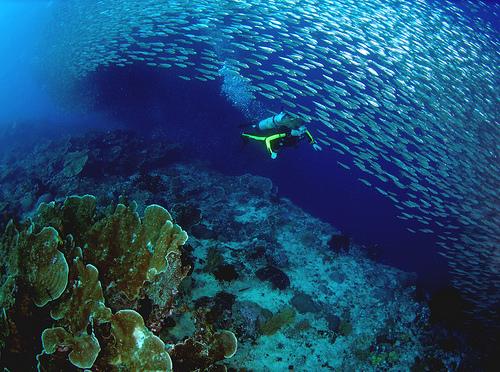 Pescador Island - Pescador Island, Cebu, philippines