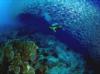 Pescador Island, Cebu, philippines