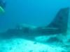 Airplane - Cebu Dive Centre