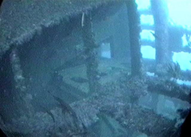 Denominator Ship Wreck - Denominator Underwater