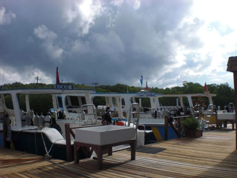 Cocoview Resort - Roatan Honduras - Dive Boats