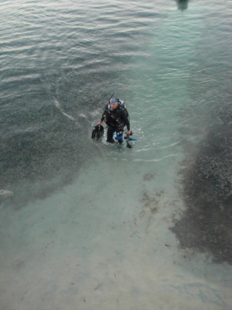 Cocoview Resort - Roatan Honduras - Shore diving