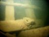 Underwater photo of shipwreck in Lake Erie - Greg