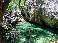 Cenote Azul - Cenote Azul
