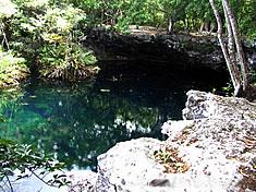 Cenote El Jardin del Eden - Cenote El Jardin del Eden