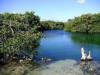 Casa Cenote /Cenote Manatee