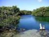 Casa Cenote /Cenote Manatee - Casa Cenote /Cenote Manatee