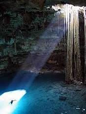 Cenotes The Sacred Waters of the Riviera Maya - Cenotes The Sacred Waters of the Riviera Maya 