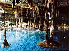 Cenotes The Sacred Waters of the Riviera Maya - Cenotes The Sacred Waters of the Riviera Maya 
