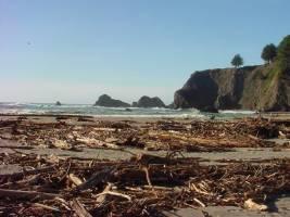 Navarro Beach - Mendocino Coast - Navarro Beach