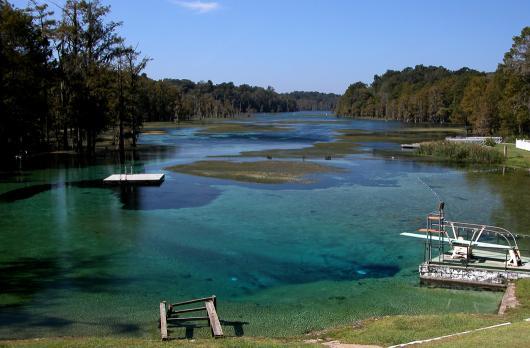 Jackson Blue Spring - View of Jackson Blue from above water