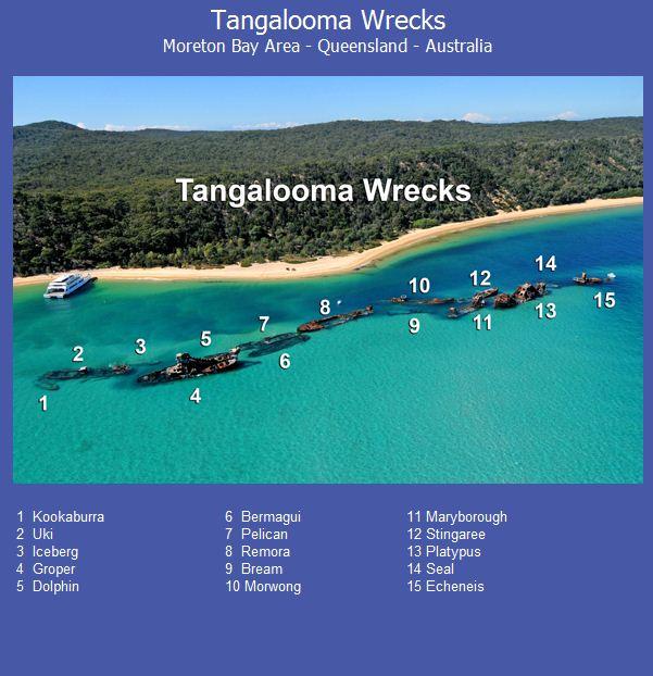 Tangalooma Wrecks - Tangalooma
