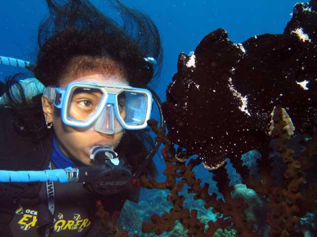 Lungsodaan MPA - Frogfish on Lungsodaan MPA