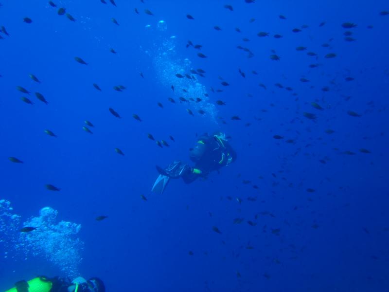 La Azohia,Spain - Deep Dive