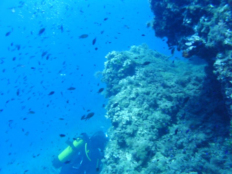 La Azohia,Spain - La Azohia underwater