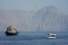 Octopus Rock - Oman