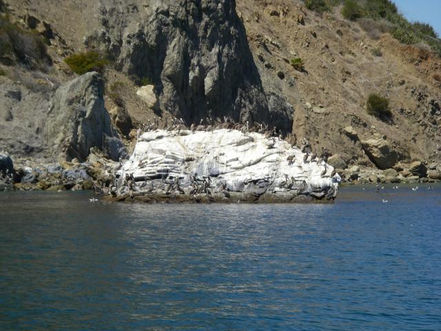 HenRock Reef - GuanoRock