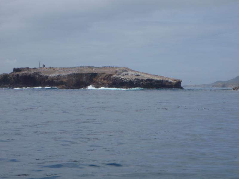gull island - gull island
