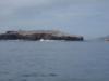 gull island - northern channel islands CA