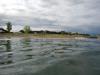 Pic of Wheeler Branch shoreline from the water.