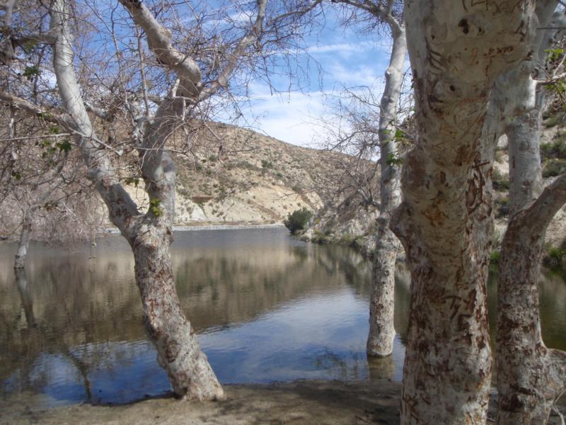 Littlerock Reservoir - First Cove 