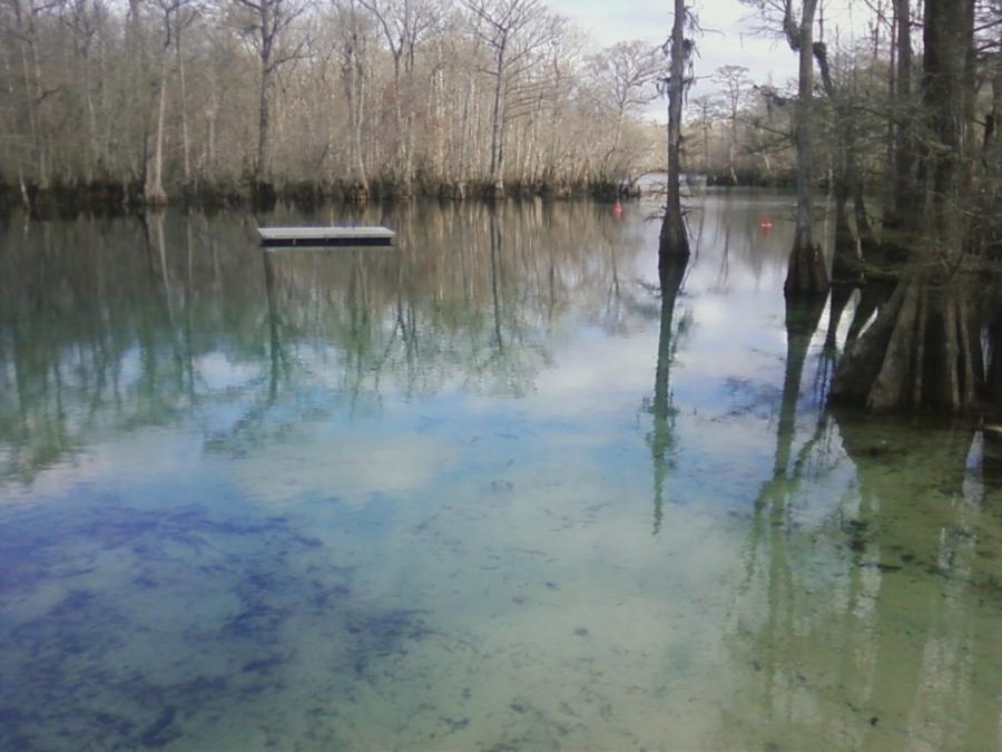 Morrison Springs - 2/5/12