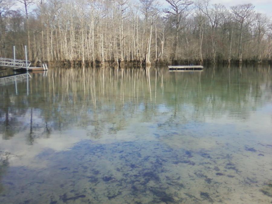 Morrison Springs - 2/5/12