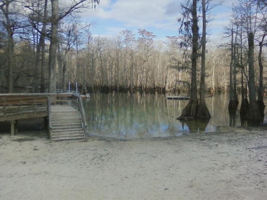 Morrison Springs - 2/5/12