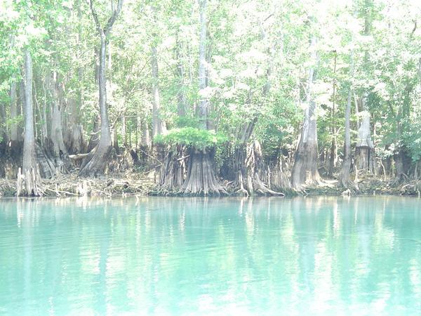 Morrison Springs - Morrison during 2006 drought