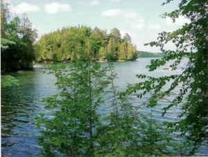 Maiden Lake - Maiden Lake